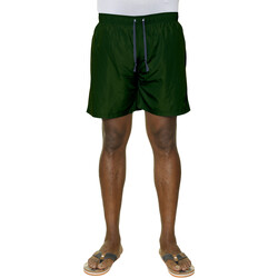 Vêtements Homme Maillots / Shorts de bain Max Fort PANAREA Vert