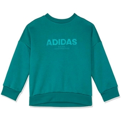 Vêtements Garçon Sweats adidas Originals DJ1768 Vert