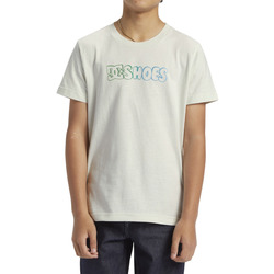 Vêtements Garçon T-shirts manches courtes DC Shoes React Work In Progress Blanc