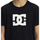 Vêtements Garçon T-shirts manches courtes DC Shoes DC Star Noir