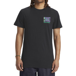 Vêtements Homme T-shirts manches courtes DC Shoes React Explorer Noir