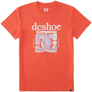 Vêtements Homme T-shirts manches courtes DC TOGOSHI SHOES Overspray Rose