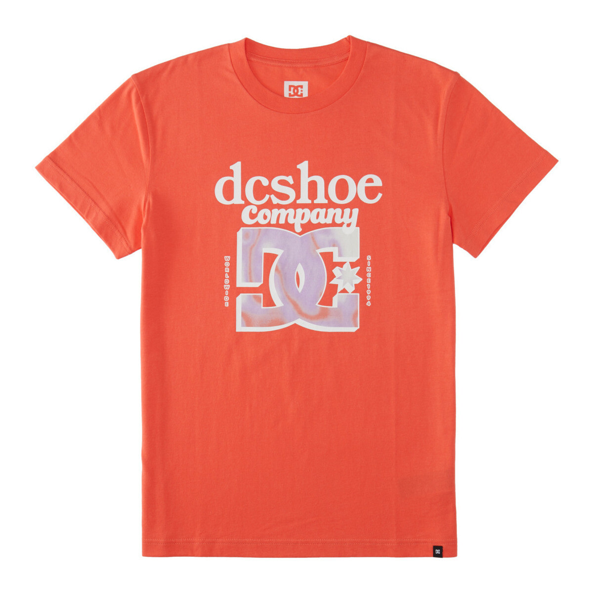 Vêtements Homme T-shirts manches courtes DC Shoes Overspray Rose