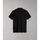 Vêtements Homme T-shirts & Polos Napapijri ELBAS JERSEY - NP0A4GB4-041 BLACK Noir