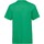 Vêtements Enfant T-shirts manches courtes Fruit Of The Loom SS6B Vert
