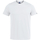 Vêtements Homme T-shirts Sort manches courtes Joma Desert Tee Blanc