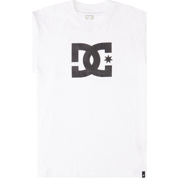 Vêtements Homme T-shirts manches courtes DC Shoes - T-shirt manches courtes - blanc Blanc