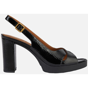 Chaussures Femme Sandales et Nu-pieds Geox D WALK PLEASURE 85S Noir