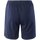 Vêtements Homme Shorts / Bermudas Huari Huracan II Multicolore