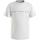 Vêtements Garçon T-shirts manches courtes Calvin Klein Jeans  Blanc
