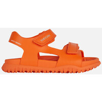 Chaussures Garçon Sandales et Nu-pieds Geox J SANDAL FUSBETTO BO Orange