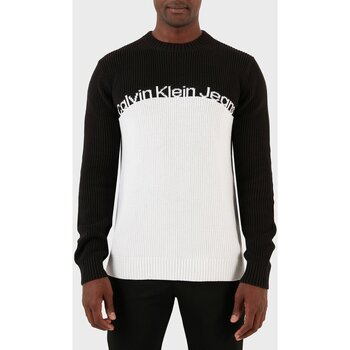 Vêtements Homme Pulls Calvin Klein Jeans J30J323981 Multicolore