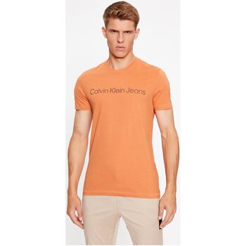 Vêtements Homme T-shirts manches courtes Calvin Klein Jeans J30J322344 Orange