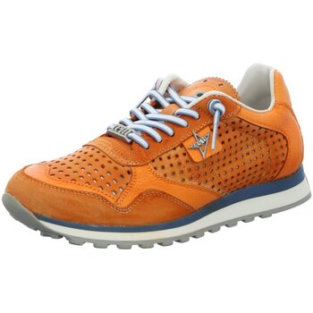 Chaussures Homme Baskets basses Cetti  Orange