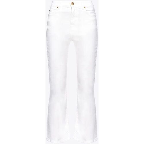 Vêtements Femme Jeans Terry Pinko BRENDA 100172 A1JM-Z14 Blanc