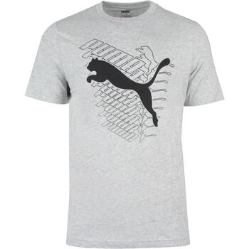 Vêtements Homme Крутая дышащая спортивная кофта usp dry бренда Young puma Young Puma GRAPHICS Cat Tee Gris