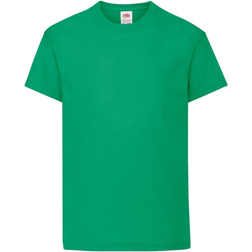Vêtements Enfant T-shirts manches courtes Fruit Of The Loom Original Vert