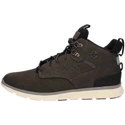 Chaussures Homme Baskets montantes Timberland CA1HPU Gris
