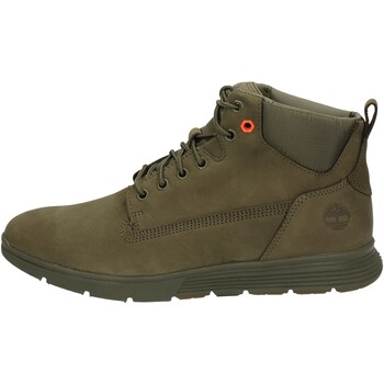 Chaussures Homme Baskets montantes Timberland  Vert