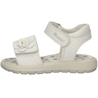 Chaussures Fille Sandales et Nu-pieds Primigi 33789/00 Blanc