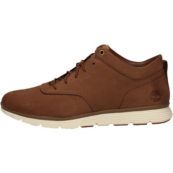 Chaussures Homme Baskets montantes Timberland TB0A22BK Marron