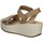 Chaussures Femme Sandales et Nu-pieds IgI&CO 51781/11 Doré