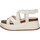 Chaussures Femme Sandales et Nu-pieds Elvio Zanon EN3603 Blanc