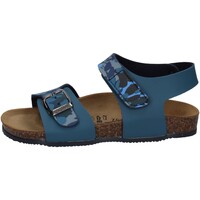 Chaussures Garçon Sandales et Nu-pieds Biochic 44179 Bleu
