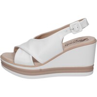 Chaussures Femme Sandales et Nu-pieds Susimoda 2142/46 Blanc