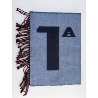 Accessoires textile Echarpes / Etoles / Foulards Alviero Martini S277/C117 Bleu