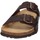 Chaussures Homme Sandales et Nu-pieds Grunland CB1631 Marron