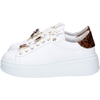 Chaussures Femme Baskets mode Gio + PIA106A Blanc