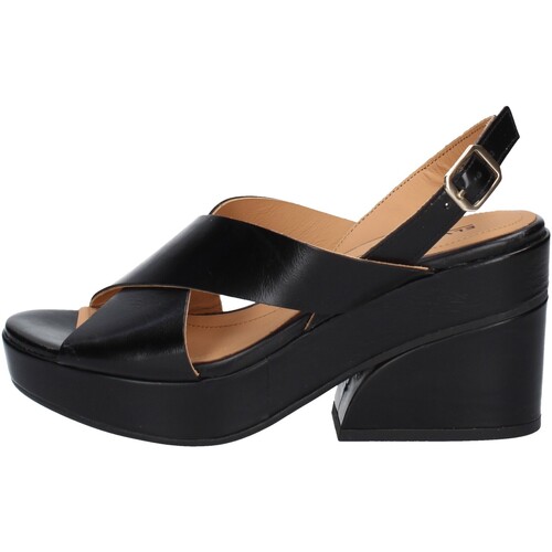 Chaussures Femme Sandales et Nu-pieds Elvio Zanon ES1702X Noir