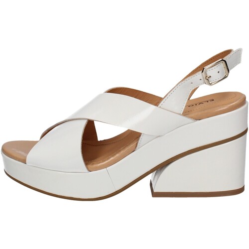 Chaussures Femme Sandales et Nu-pieds Elvio Zanon ES1702X Blanc