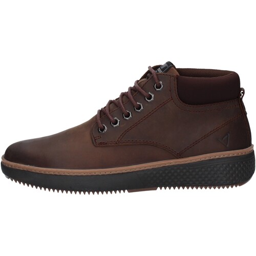 Chaussures Homme Baskets montantes Valleverde 36990A Marron