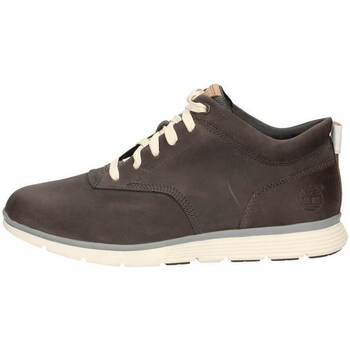 Chaussures Homme Baskets montantes Timberland CA1856 Gris