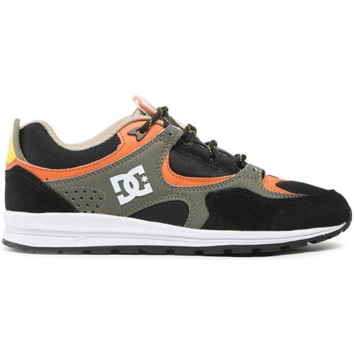Chaussures Homme Baskets mode DC Shoes ADYS100291 Multicolore