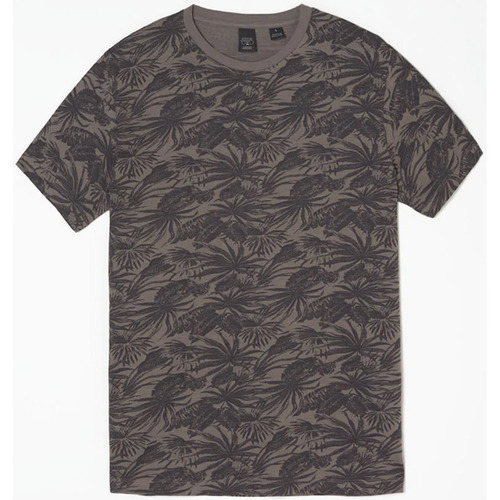 Vêtements Homme T-shirts & Polos Polo Ralph Lauren T-shirt vezir à motif tropical gris Gris