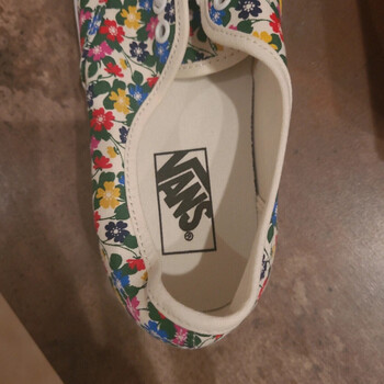 Chaussures Homme Baskets basses Vans Womens VANS Womens Vans Womens Covers the Slip-On "Blossom" in Cheeky Checks Unisexe Multicolore