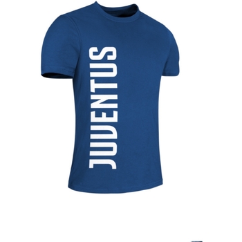 Vêtements Garçon T-shirts manches courtes Juventus TK004FW1920 Bleu