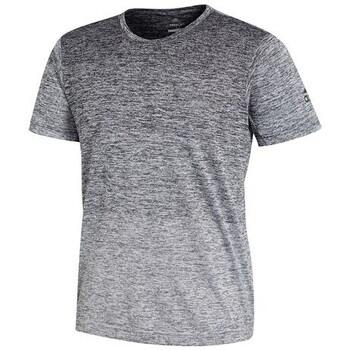 Vêtements Homme T-shirts manches courtes adidas Originals CW3435 Gris