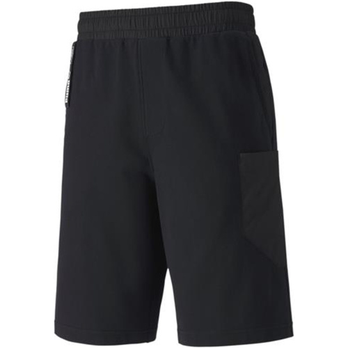 Vêtements Homme Shorts / Bermudas Puma 581326 Noir