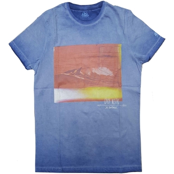 Vêtements Homme T-shirts redygtig manches courtes Sundek M976TEJ8402 Bleu