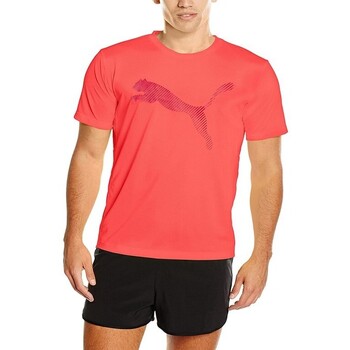 Vêtements Homme T-shirts manches courtes Puma 514578 Orange