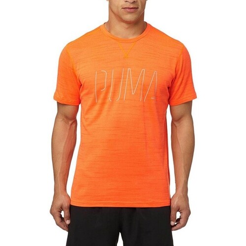 Vêtements Homme T-shirts manches courtes Puma 514358 Orange