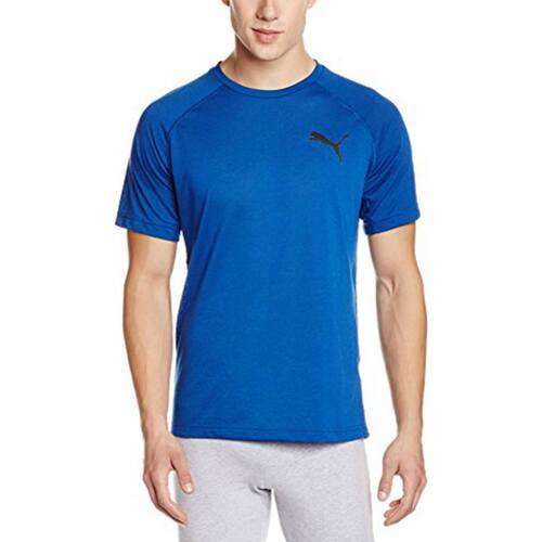 Vêtements Homme T-shirts manches courtes Puma 513863 Bleu