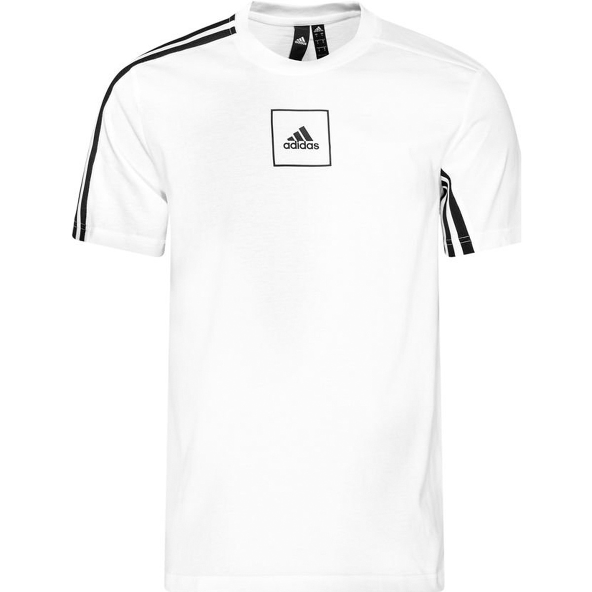 Vêtements Homme T-shirts manches courtes adidas Originals FL3605 Blanc