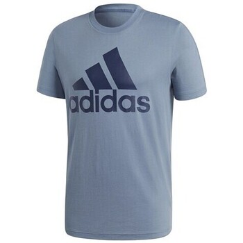 Vêtements Homme T-shirts manches courtes adidas Originals CW3803 Bleu