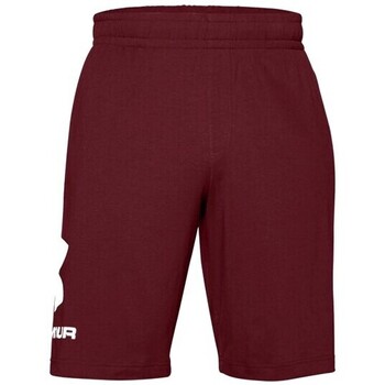 Vêtements Homme Shorts / Bermudas Under Camiseta Armour 1329300 Bordeaux