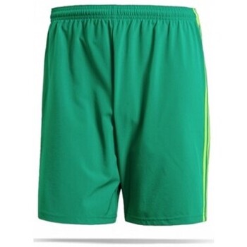 Vêtements Homme Shorts / Bermudas adidas Originals CF0713 Vert
